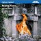 Corrado Canonici, double bass - A roaring flame